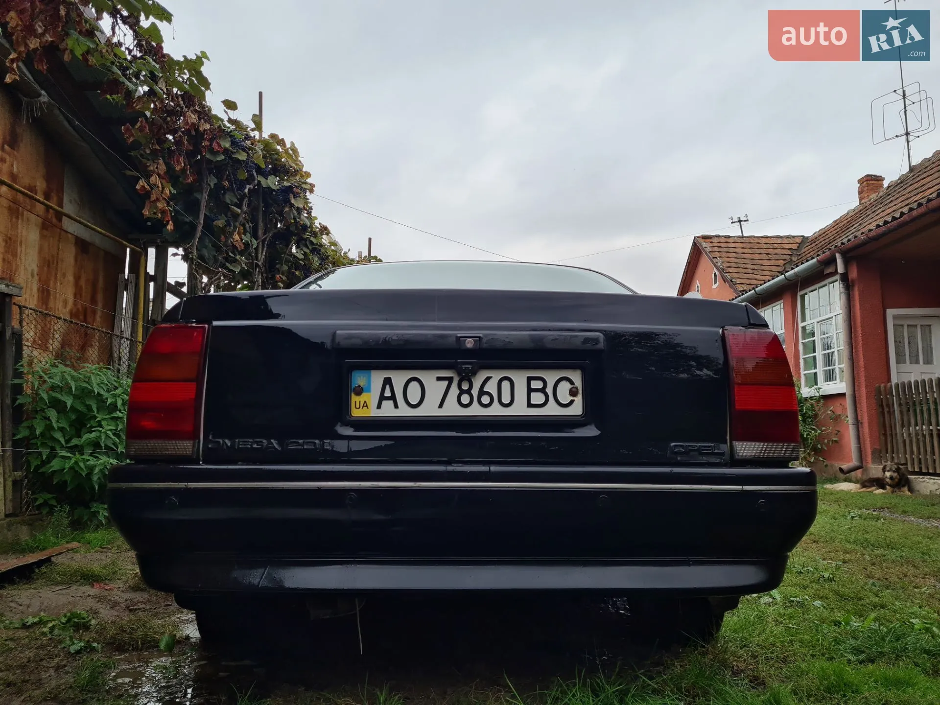 Opel Omega, 1988