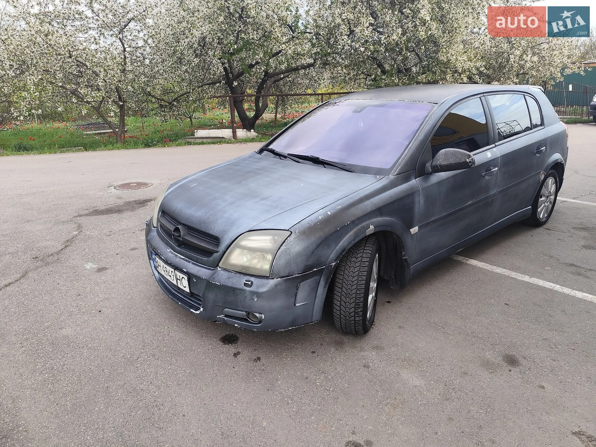 Opel Signum, 2003