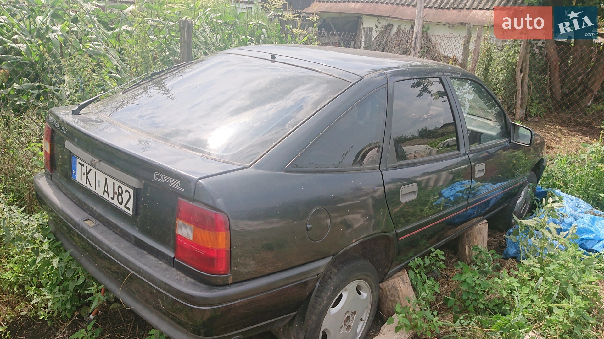 Opel Vectra, 1991