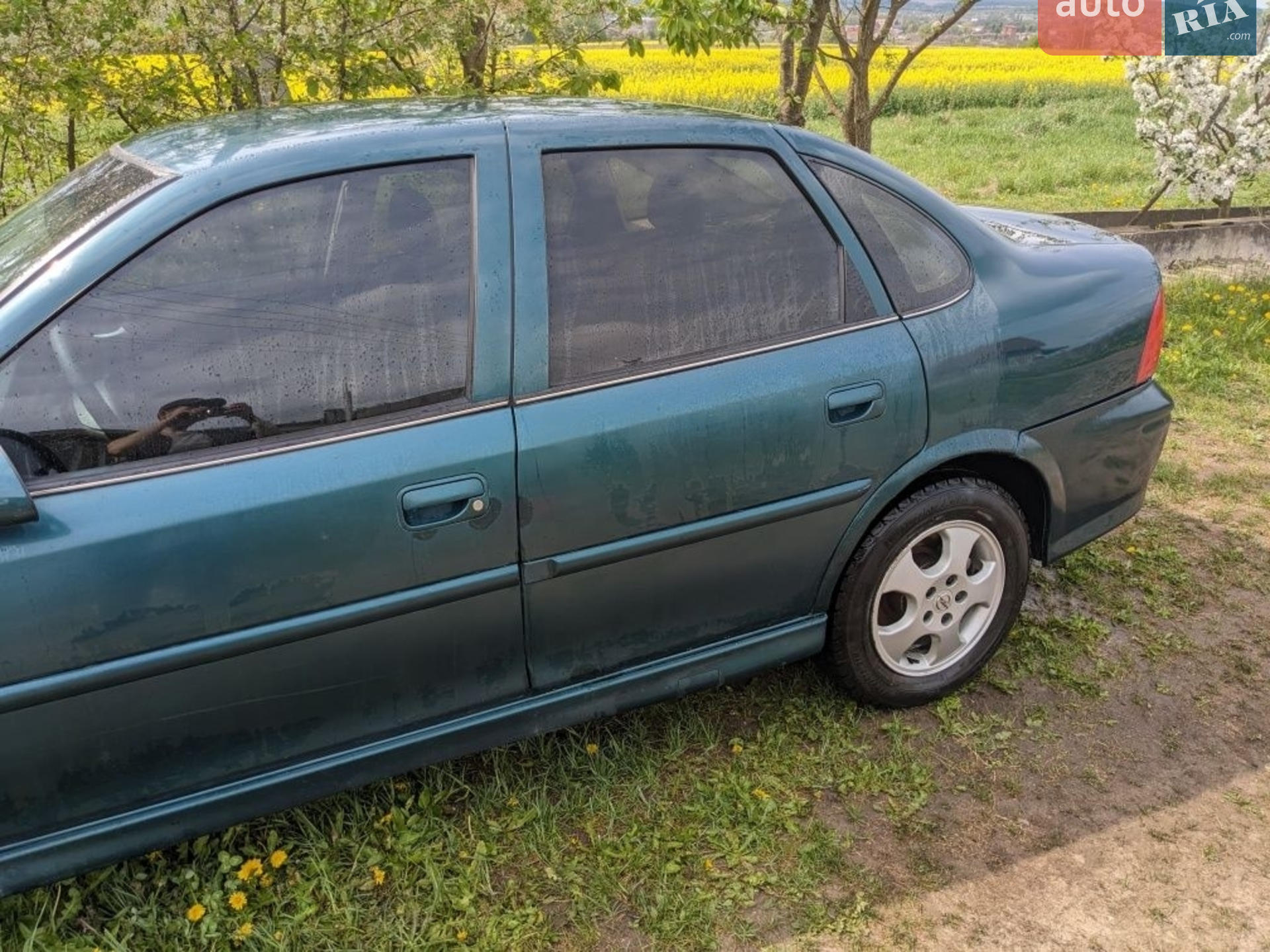 Opel Vectra, 2000
