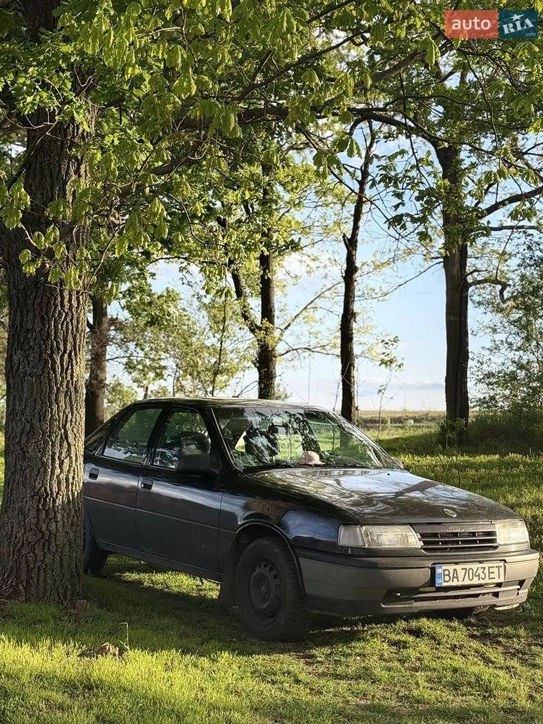 Opel Vectra, 1991