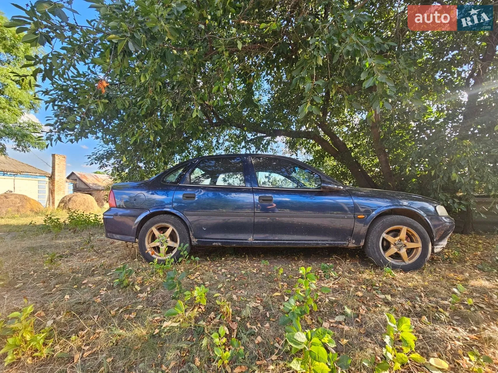 Opel Vectra, 1998