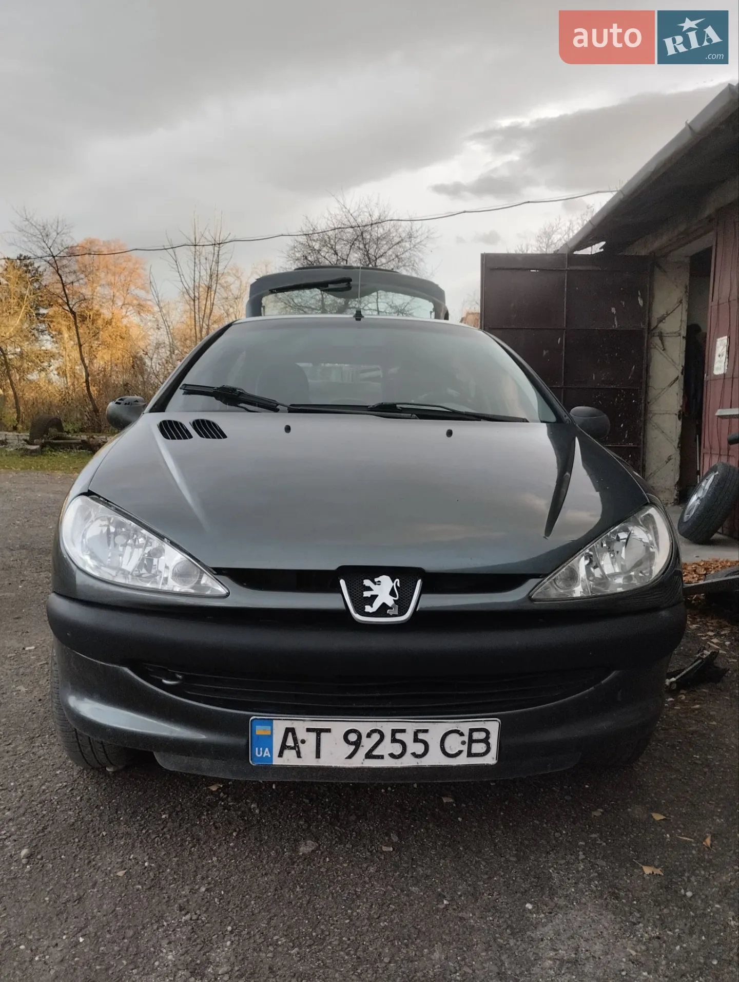 Peugeot 206, 2001
