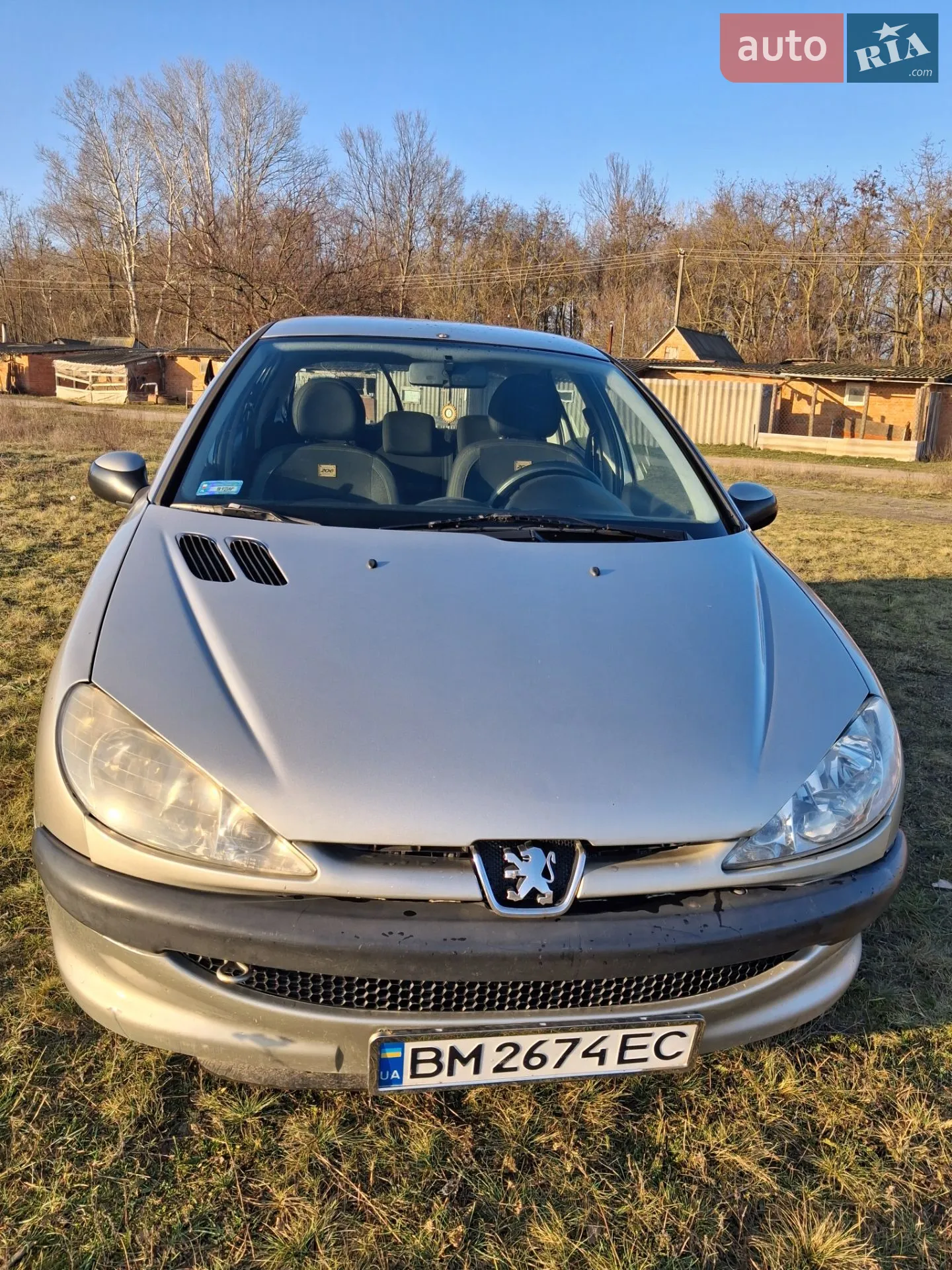 Peugeot 206, 2006