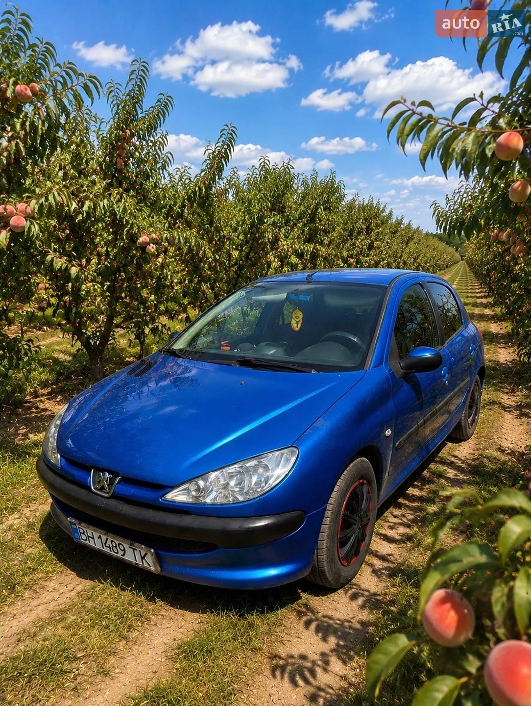 Peugeot 206, 2004