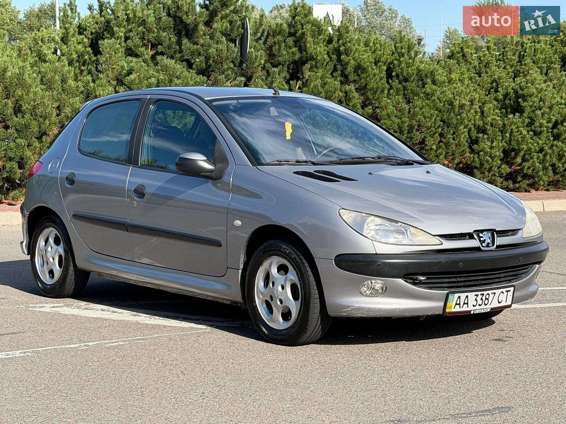 Peugeot 206, 2002