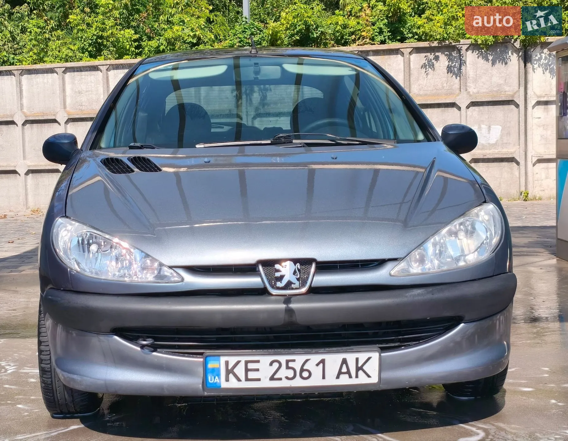 Peugeot 206, 2006