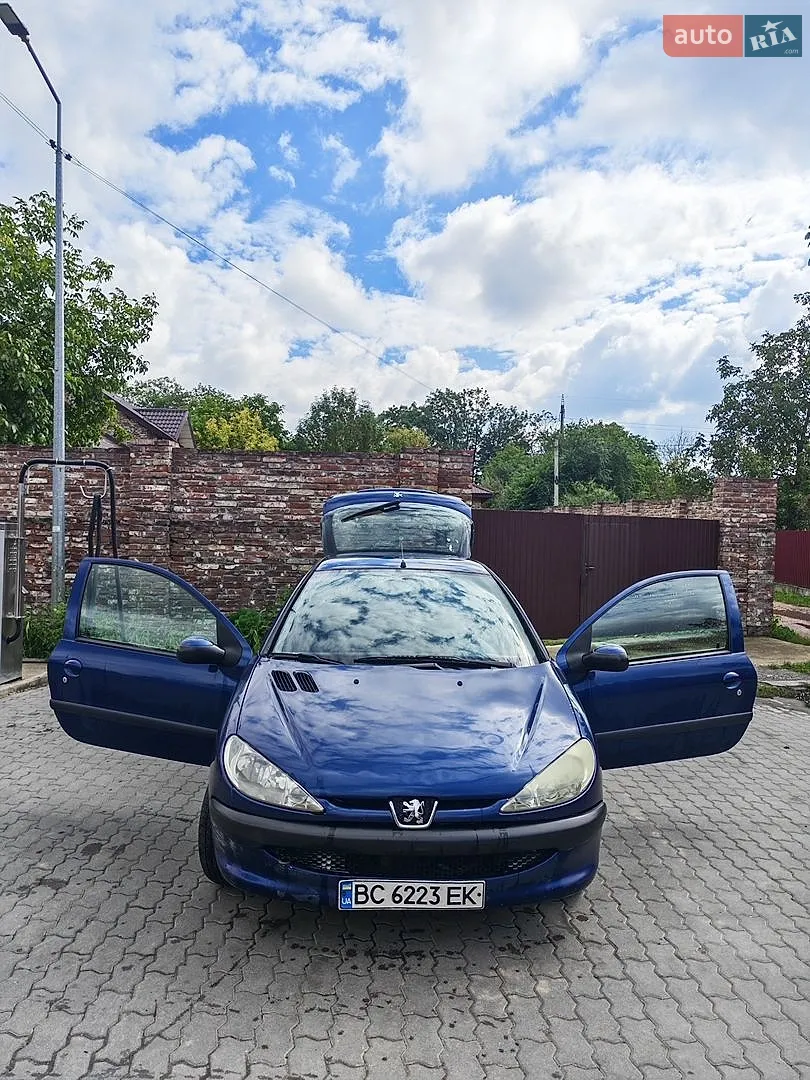 Peugeot 206, 2004