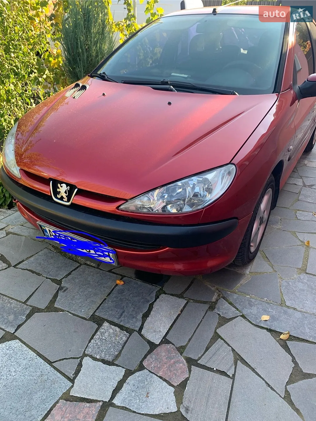 Peugeot 206, 2005