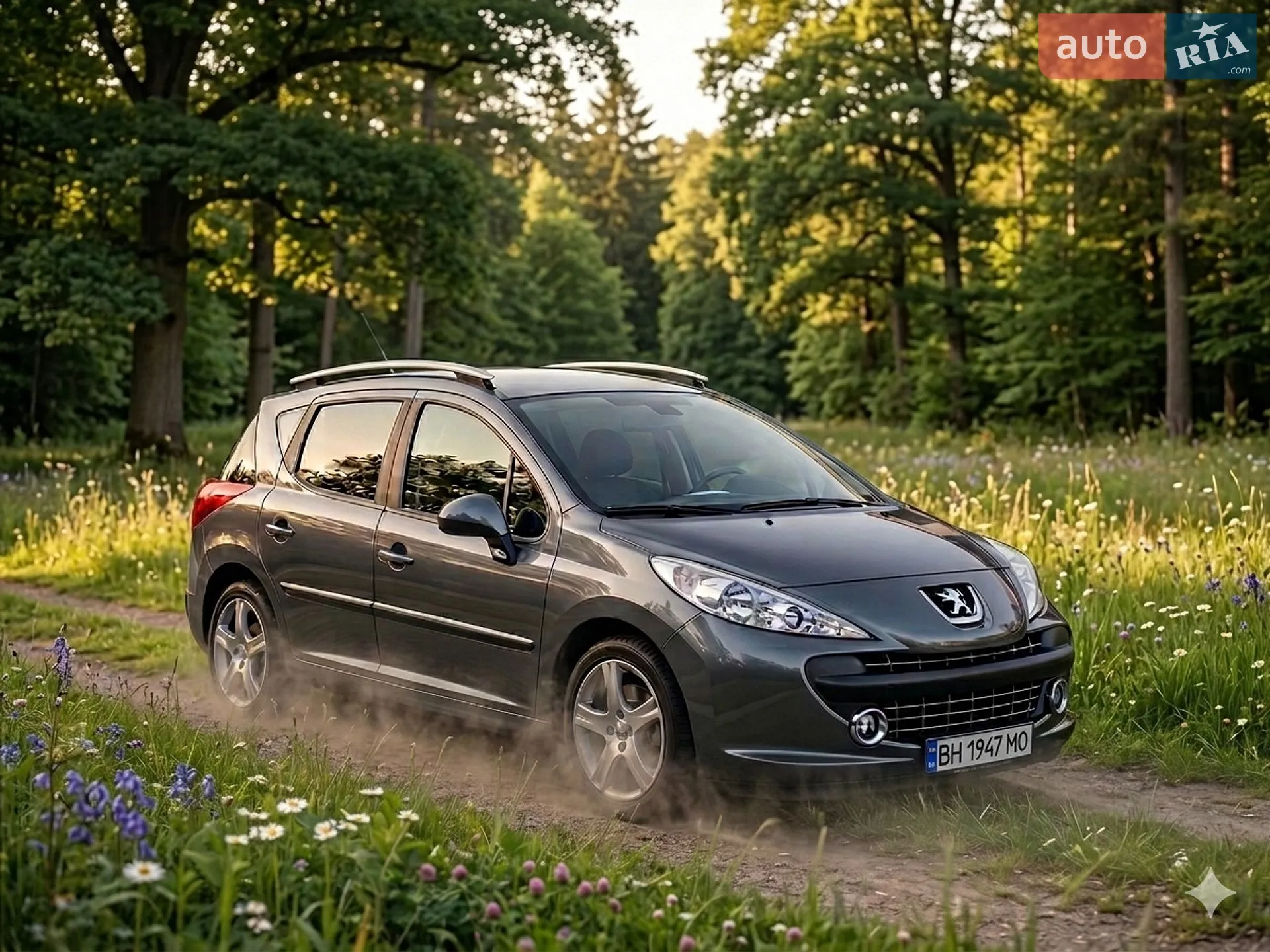 Peugeot 207, 2008