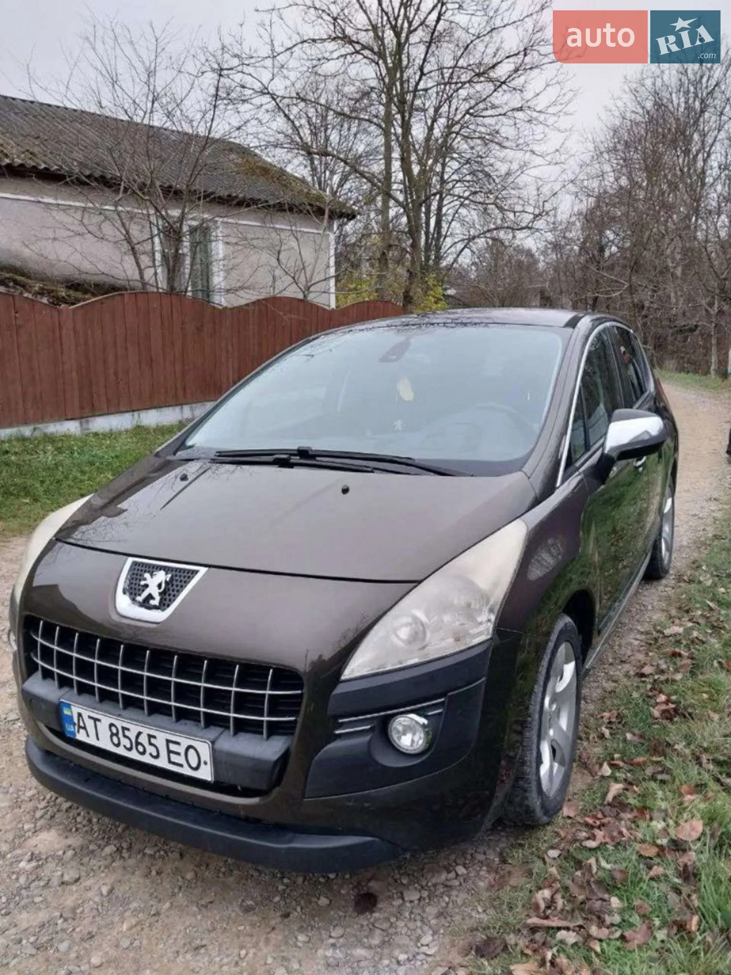 Peugeot 3008, 2010