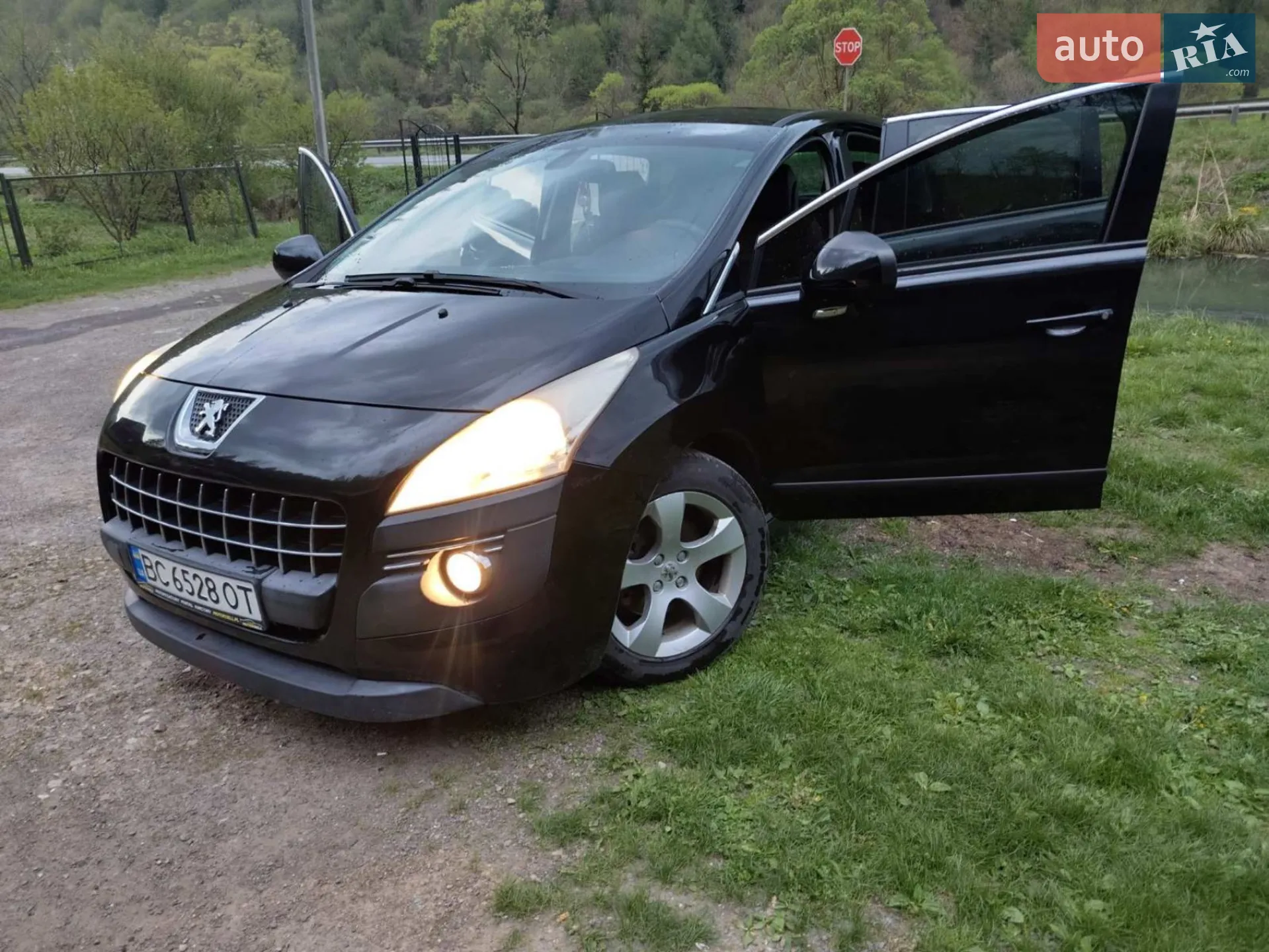 Peugeot 3008, 2010