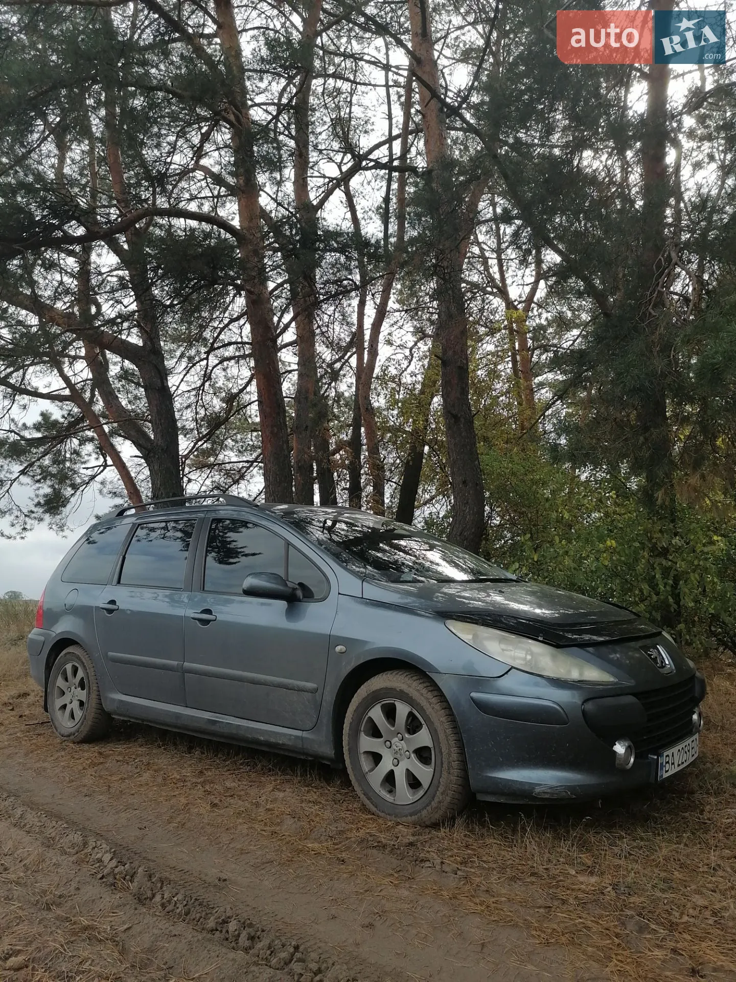 Peugeot 307, 2007