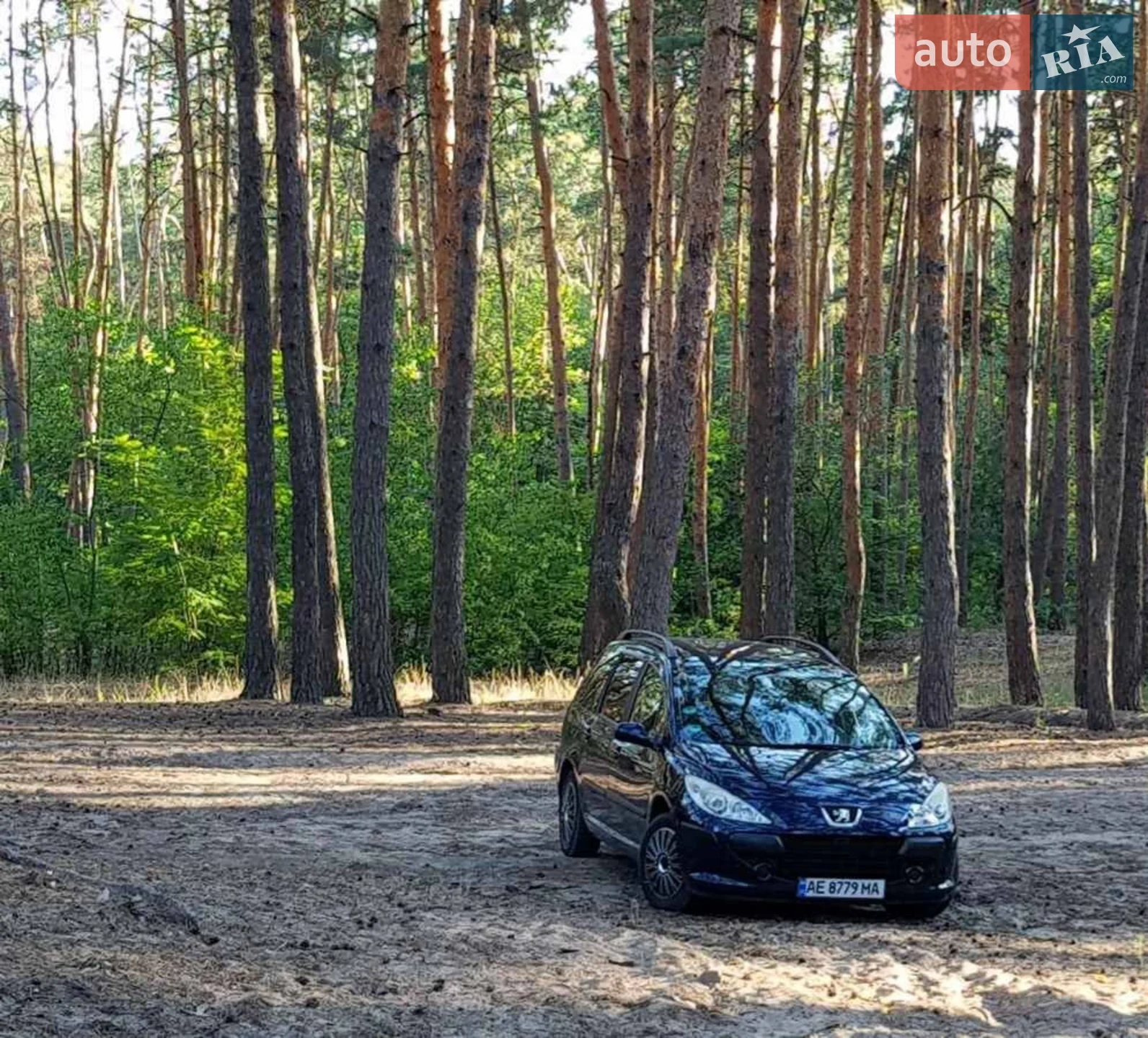 Peugeot 307, 2007