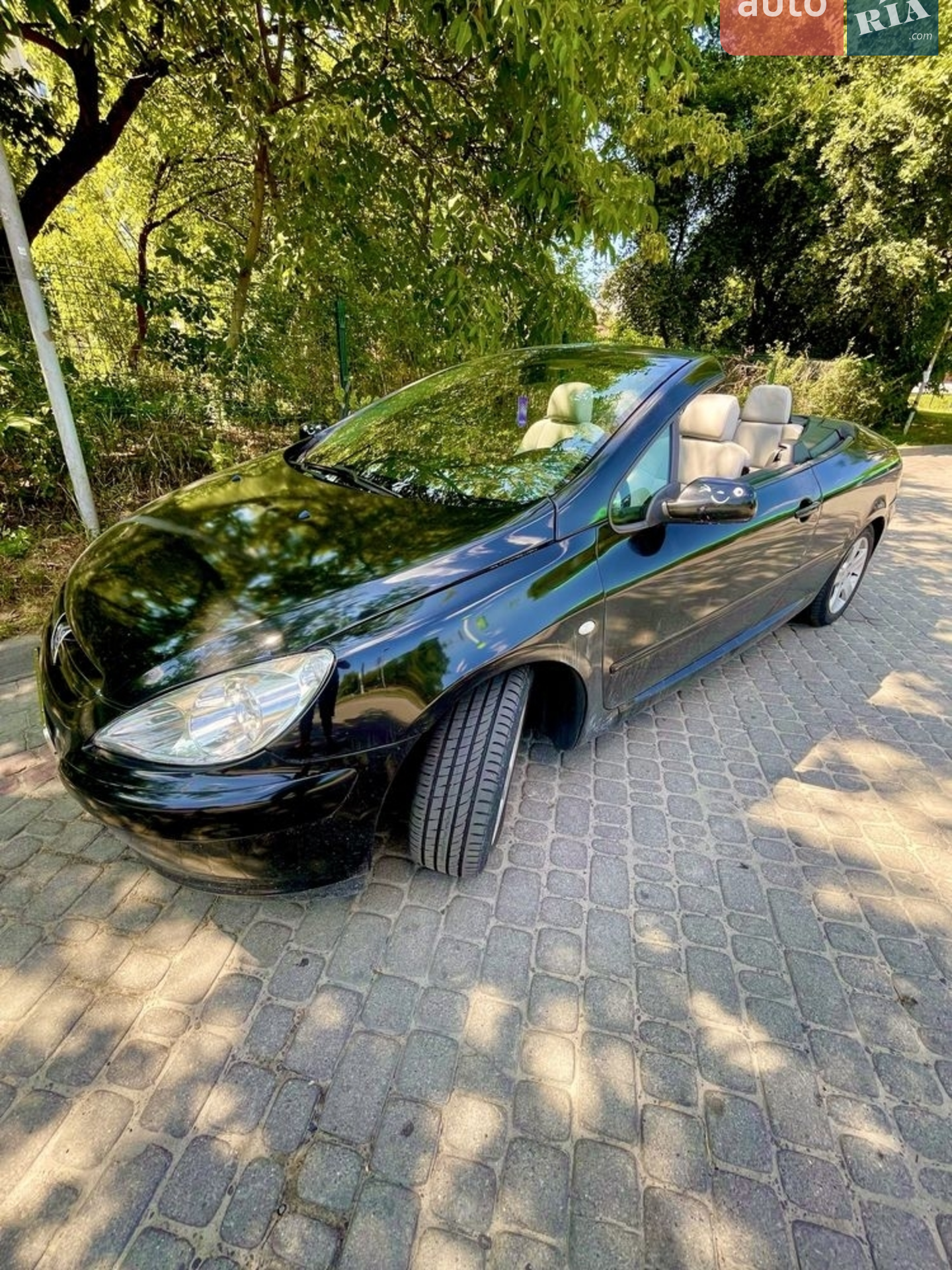 Peugeot 307, 2004