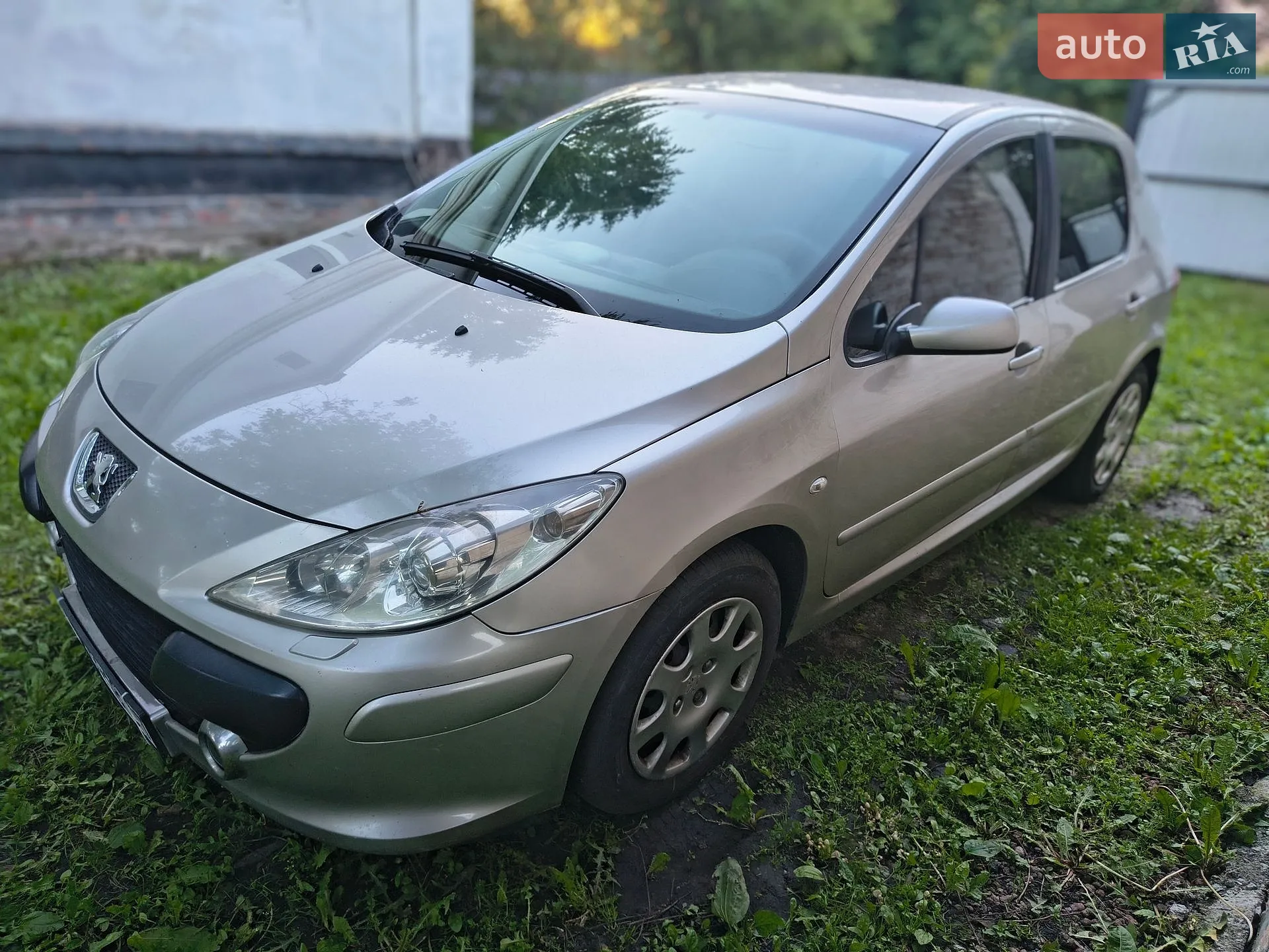 Peugeot 307, 2006