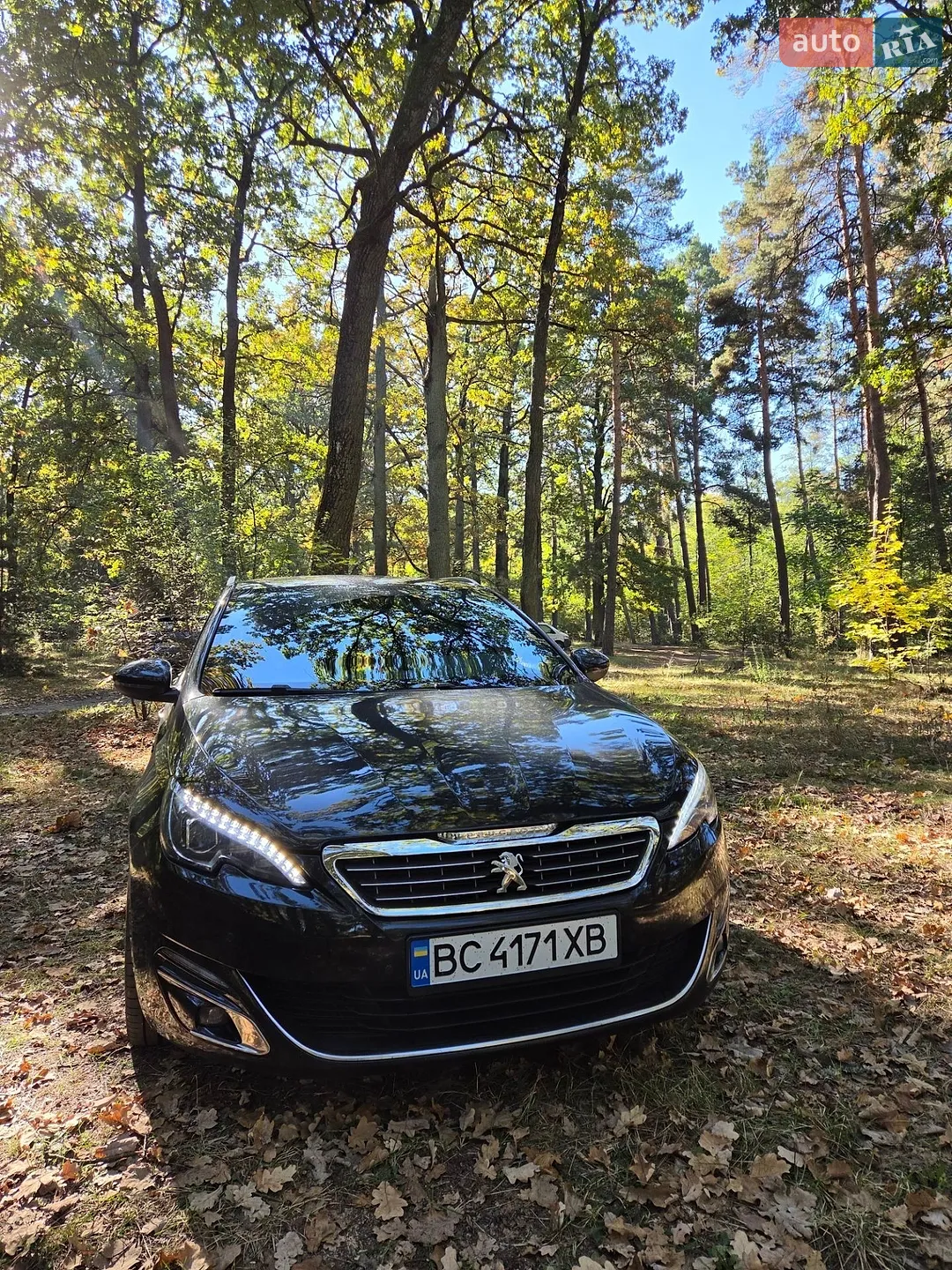 Peugeot 308, 2016