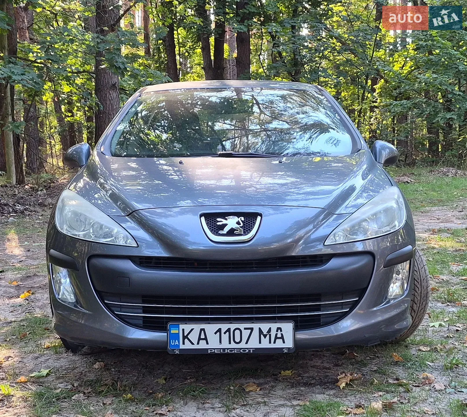 Peugeot 308, 2010