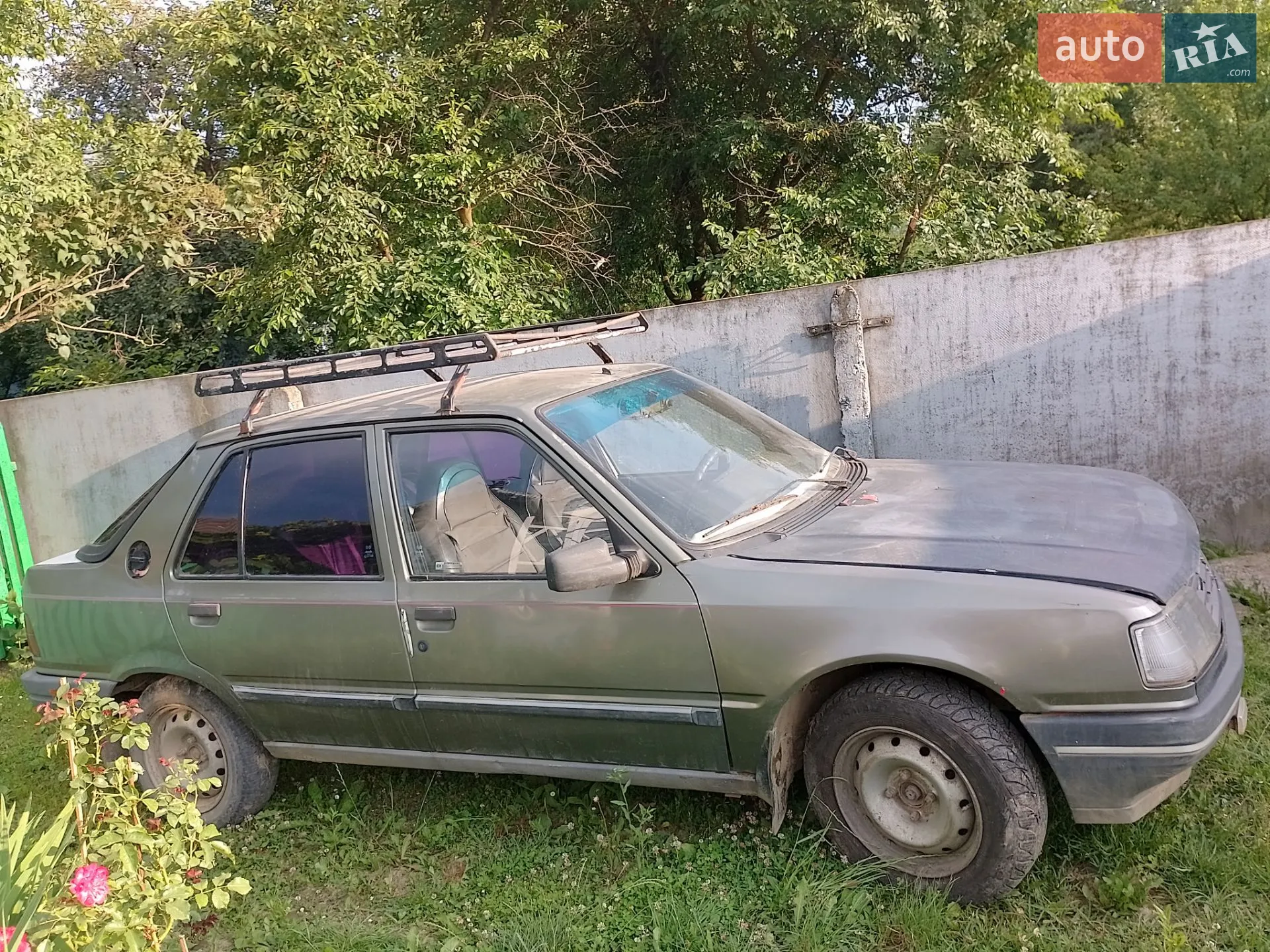 Peugeot 309, 1987