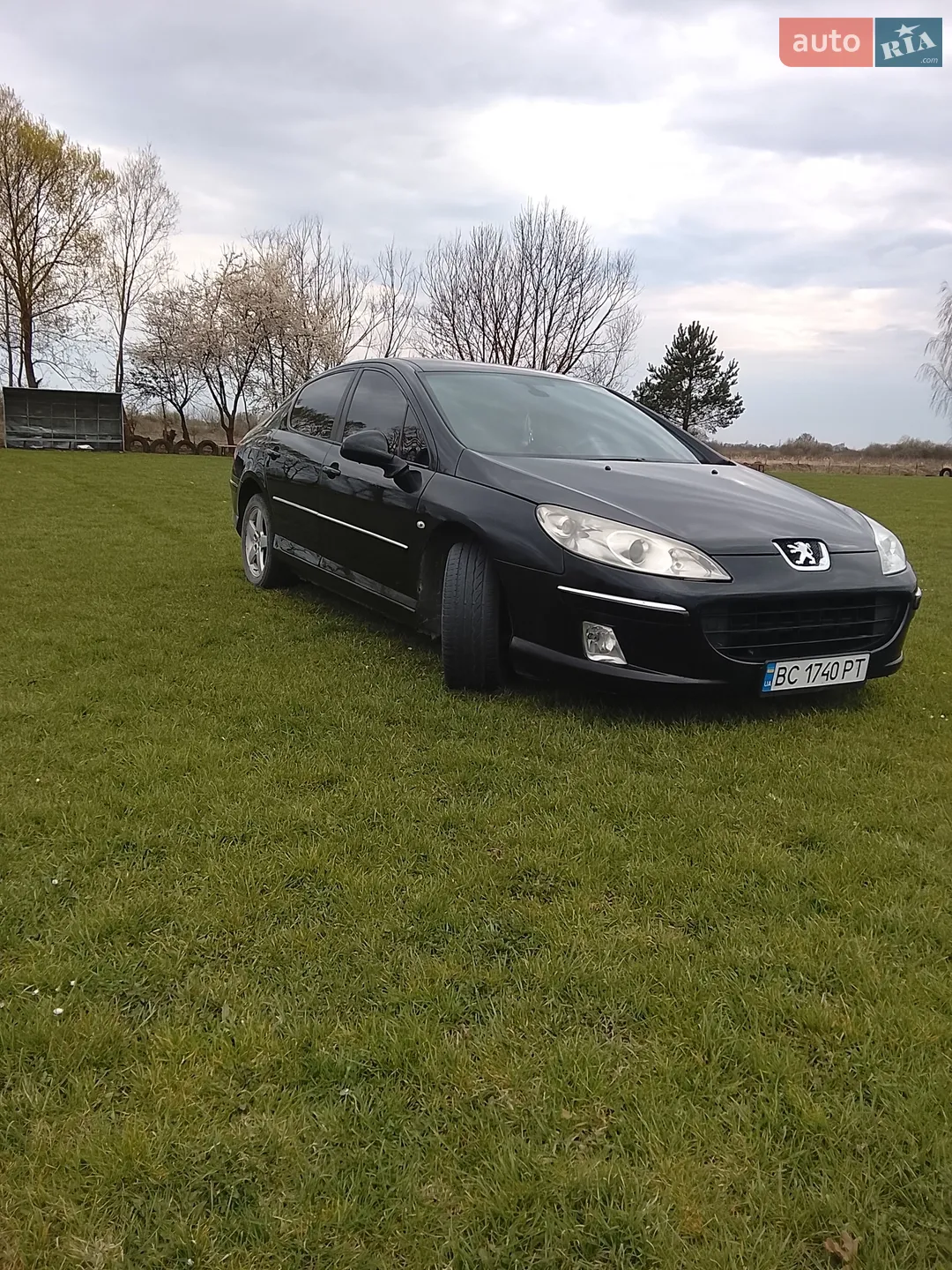 Peugeot 407, 2010