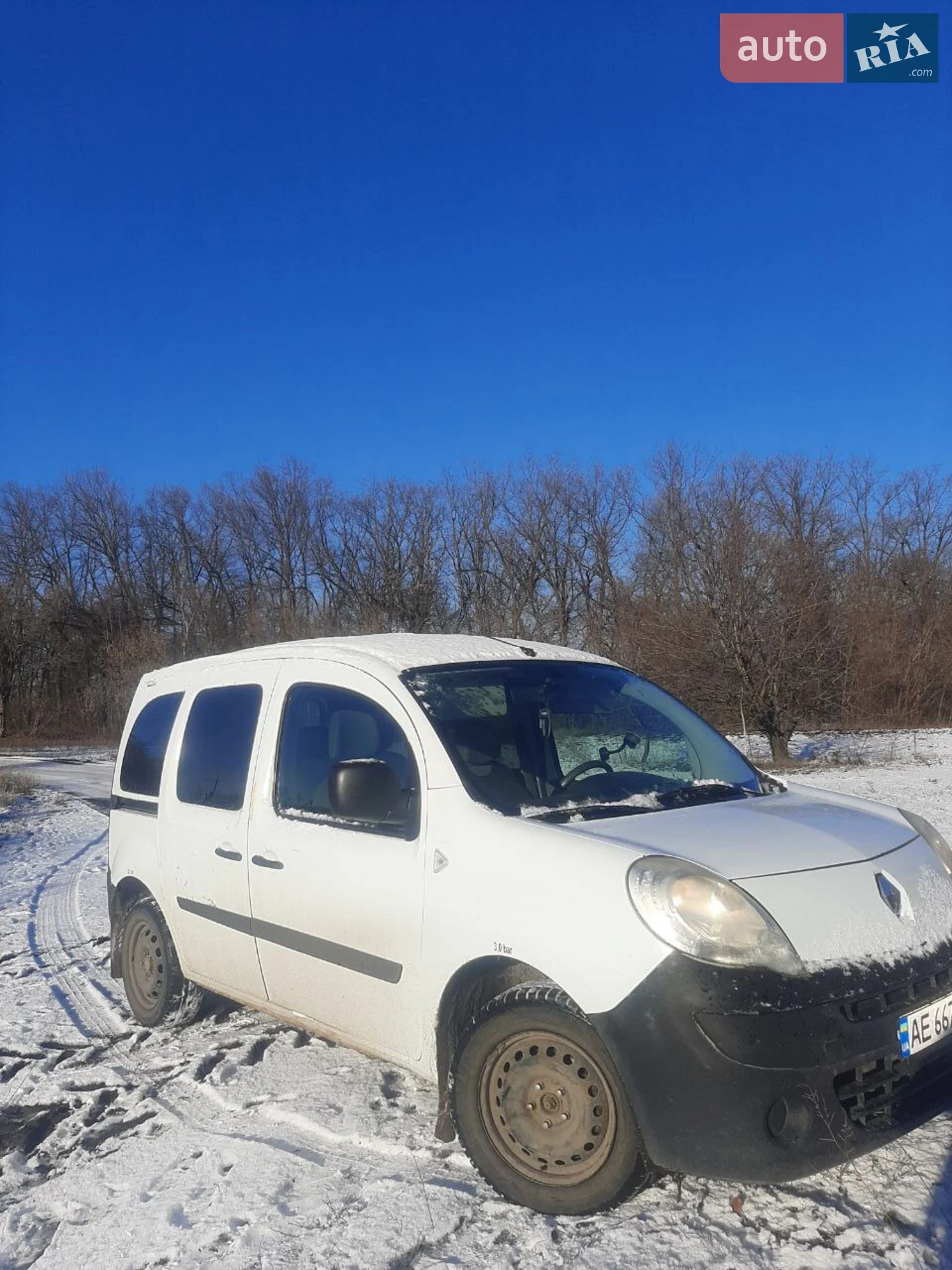 Renault Kangoo, 2010