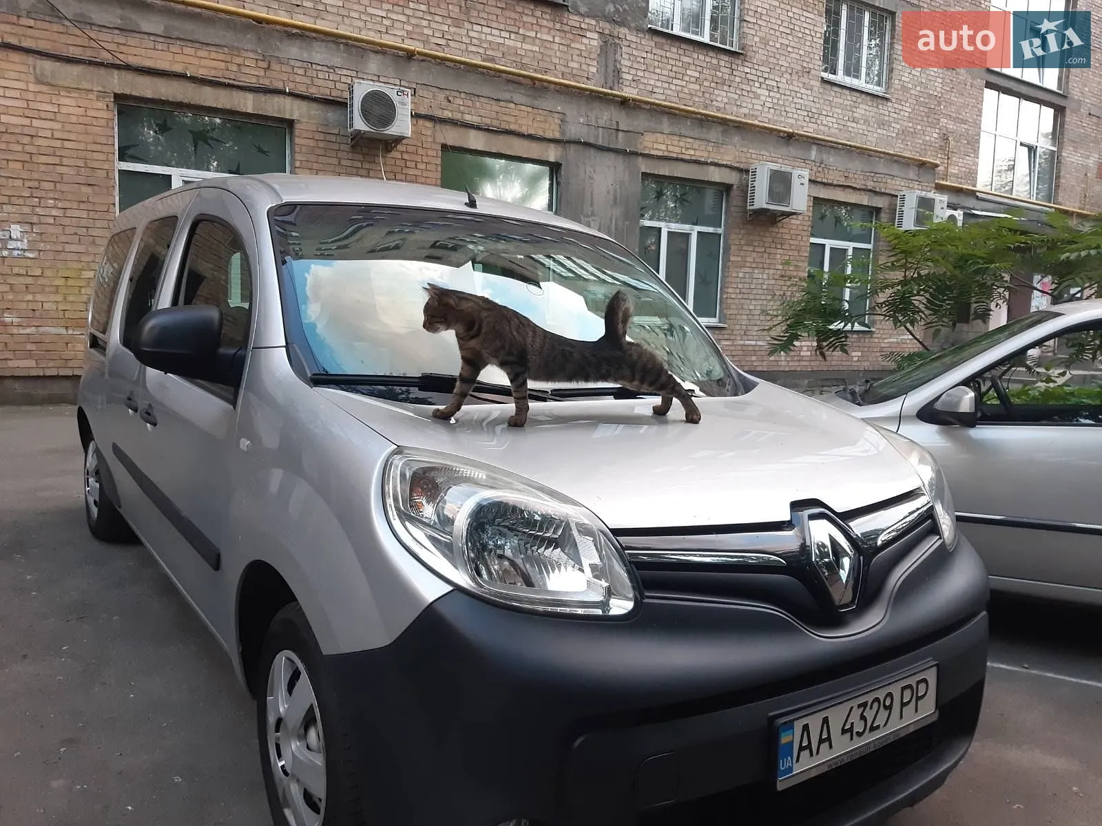 Renault Kangoo, 2014
