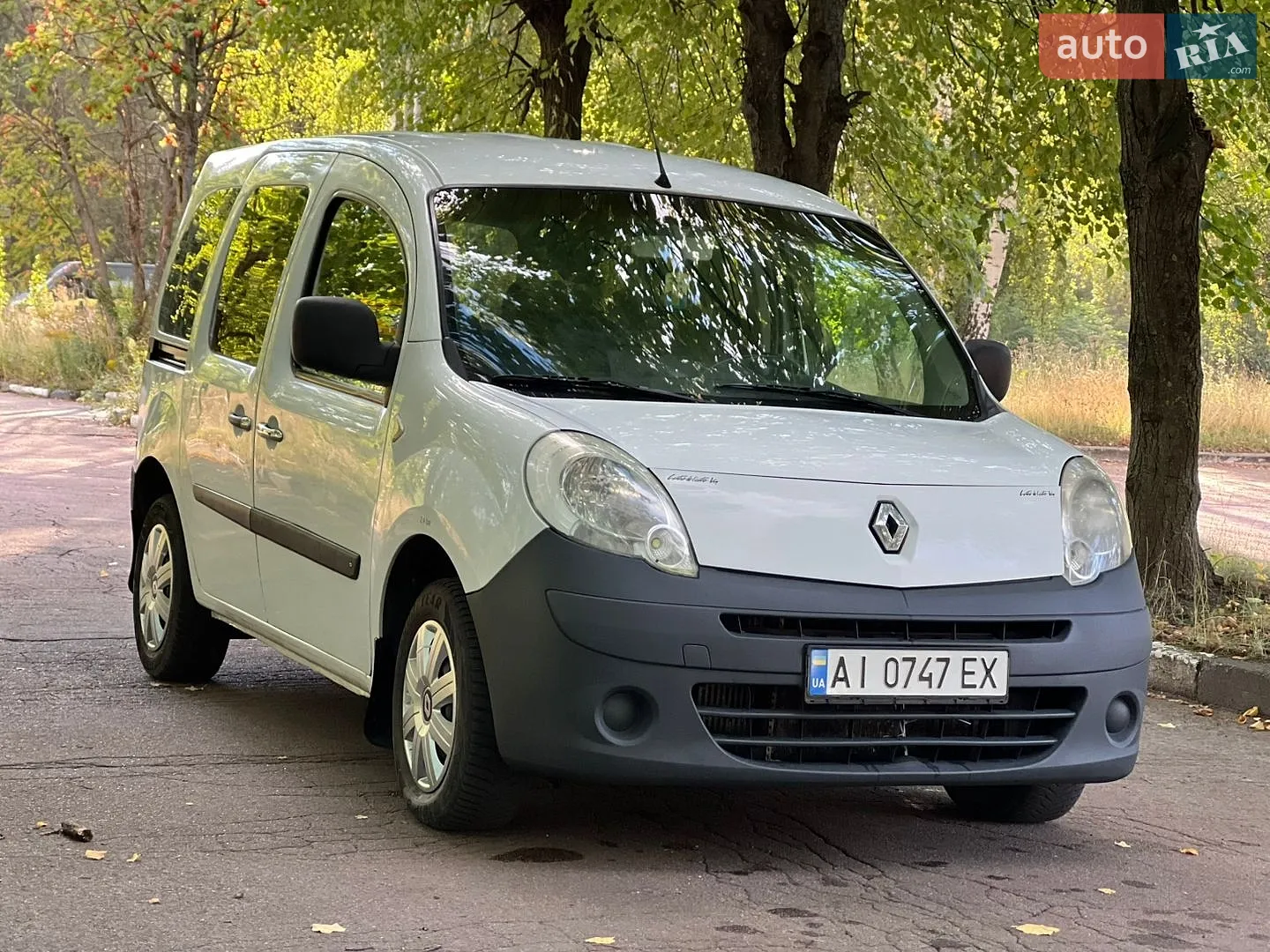 Renault Kangoo, 2008