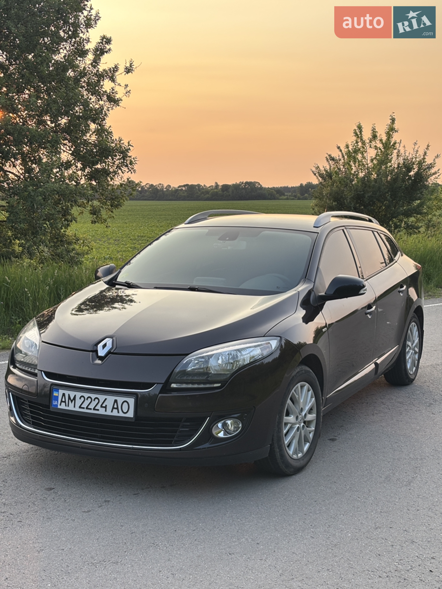 Renault Megane, 2013