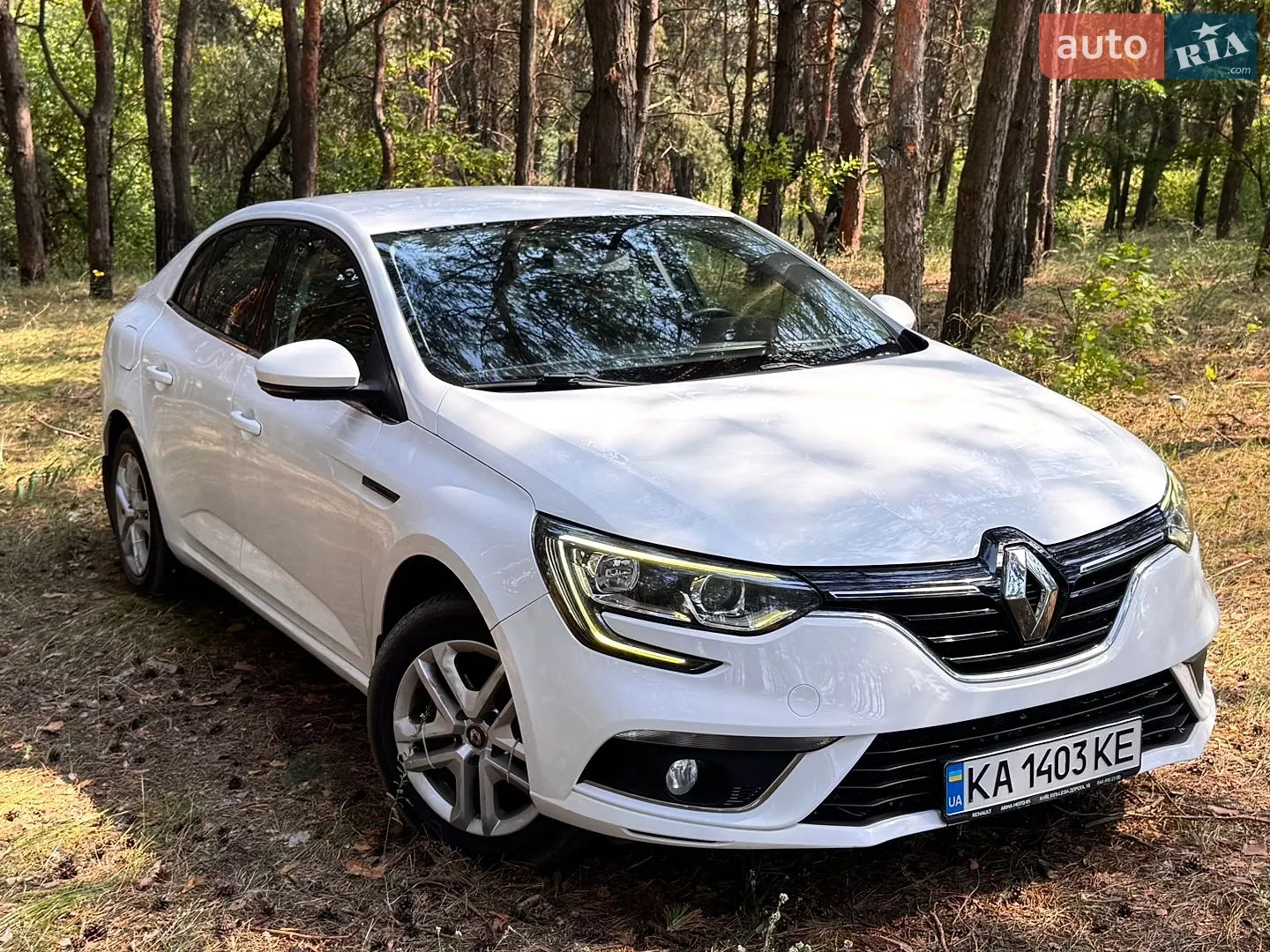 Renault Megane 2019 — 1
