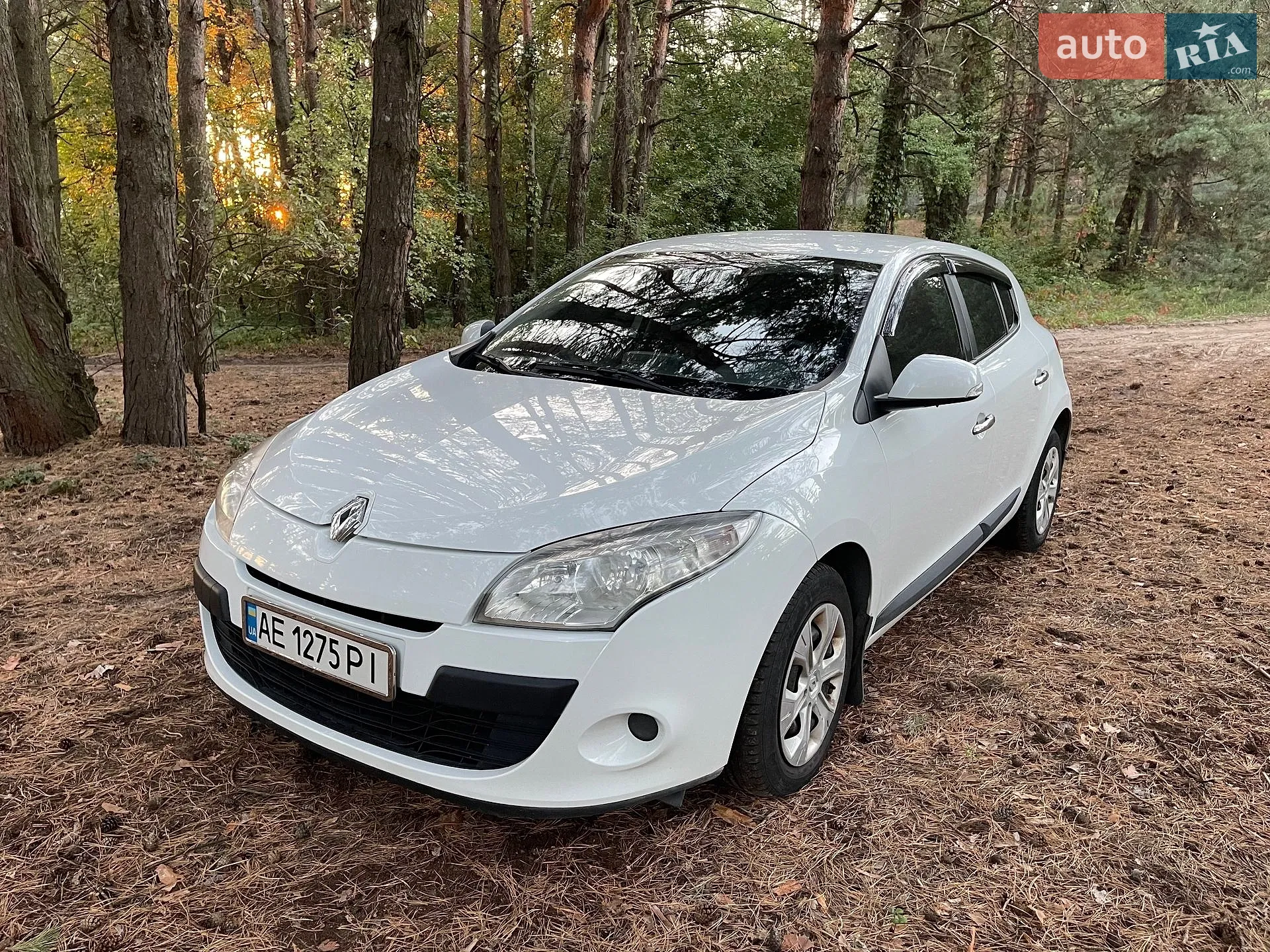 Renault Megane, 2010