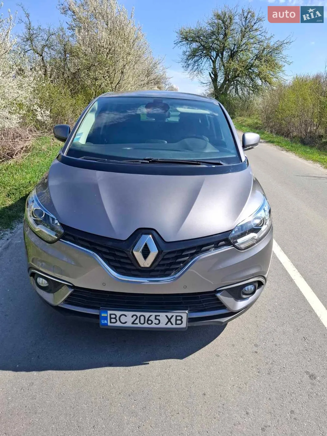 Renault Scenic, 2019