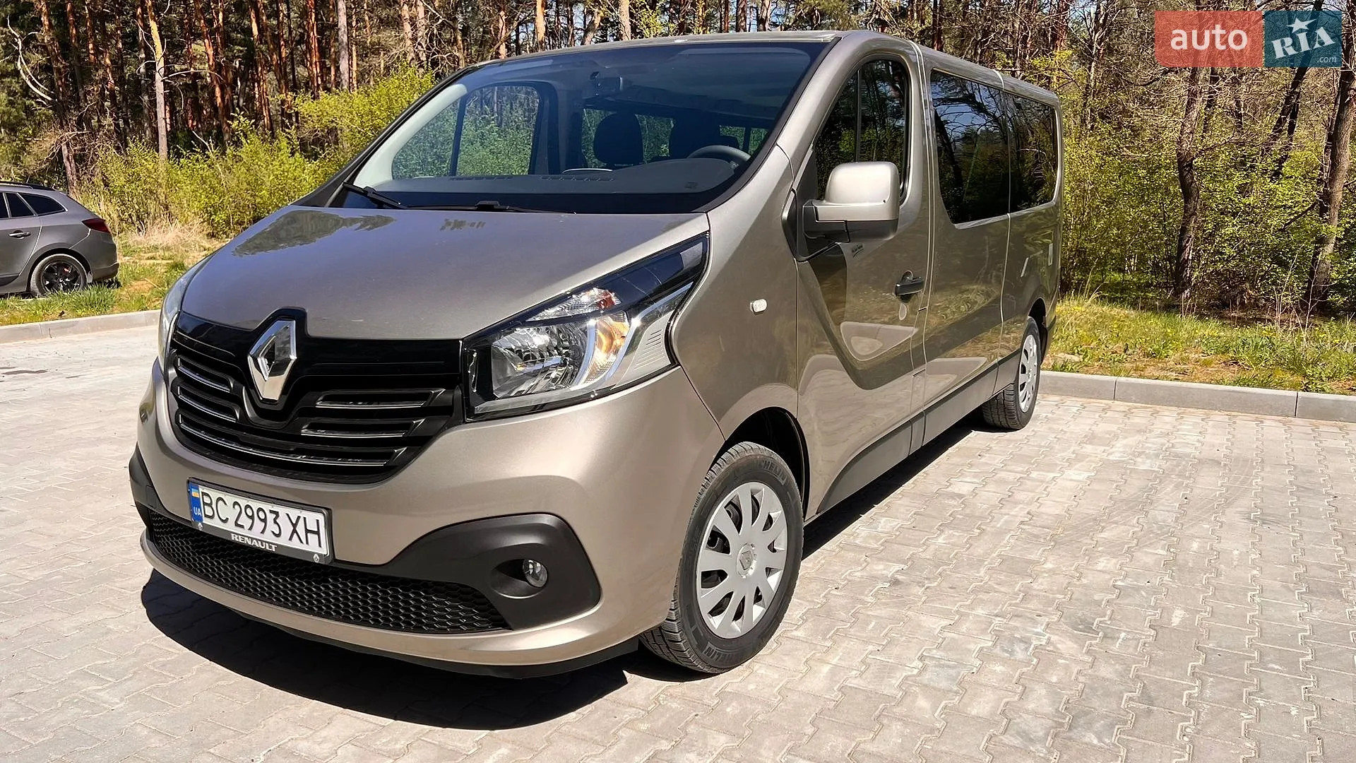 Renault Trafic, 2019