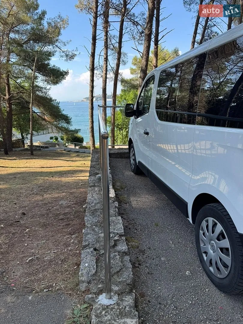 Renault Trafic, 2019