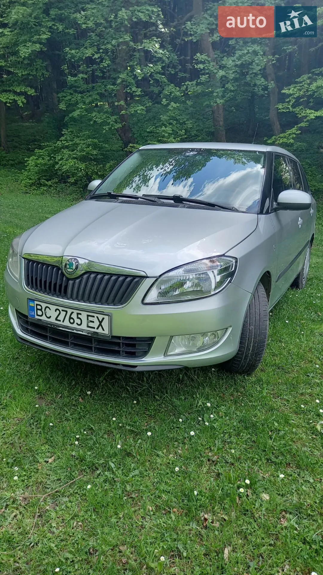 Skoda Fabia, 2010