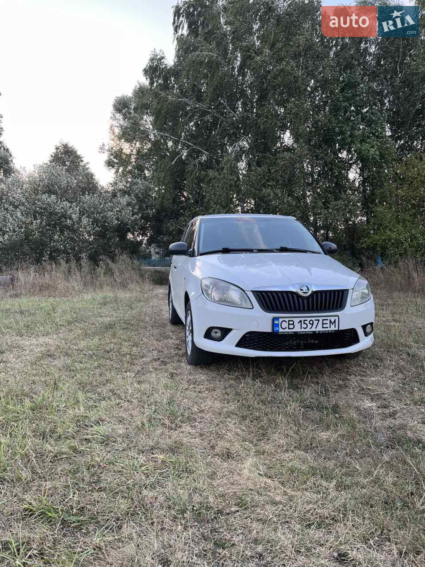 Skoda Fabia, 2013