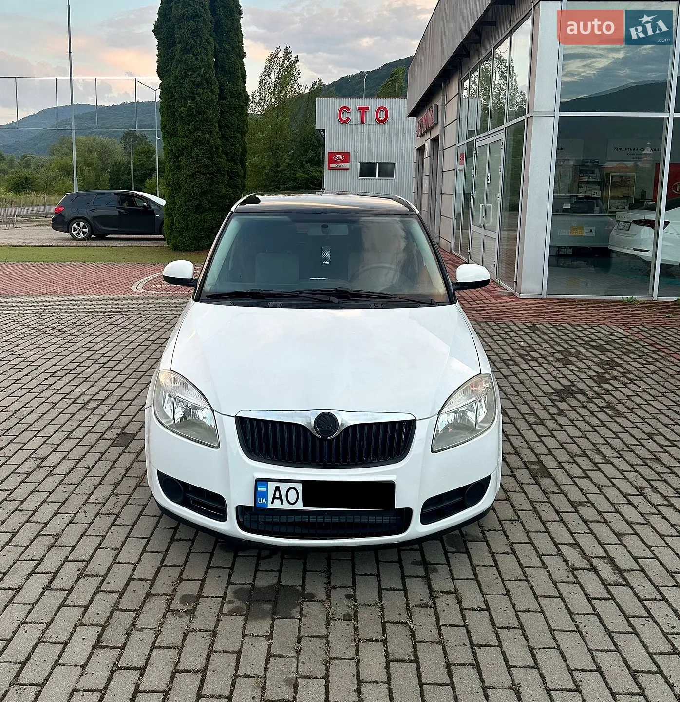 Skoda Fabia, 2010