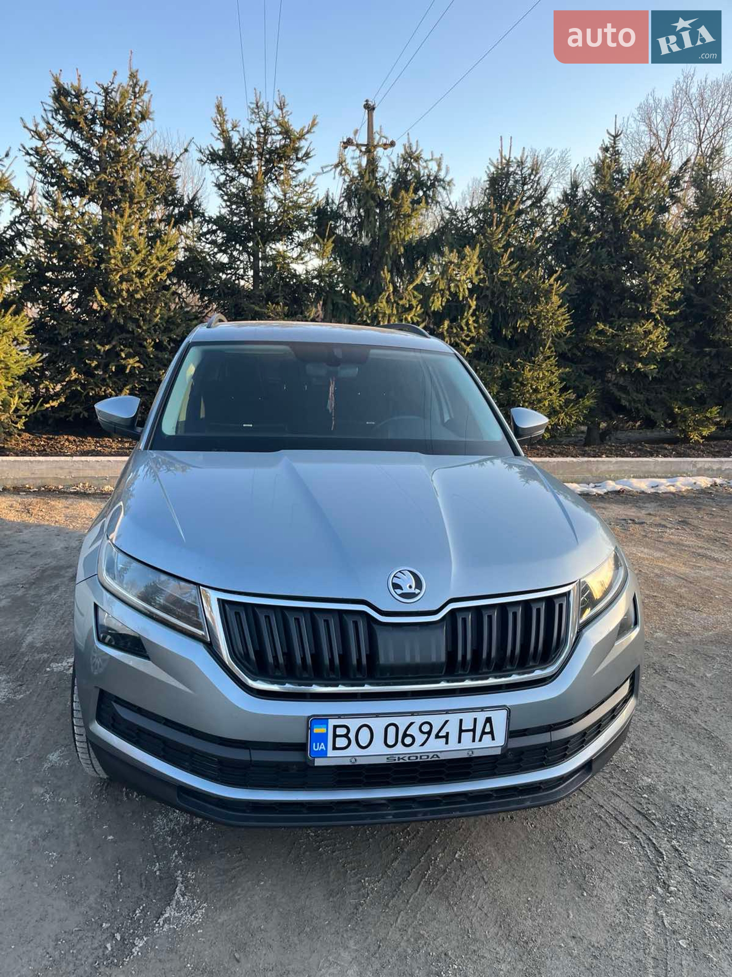Skoda Kodiaq, 2017
