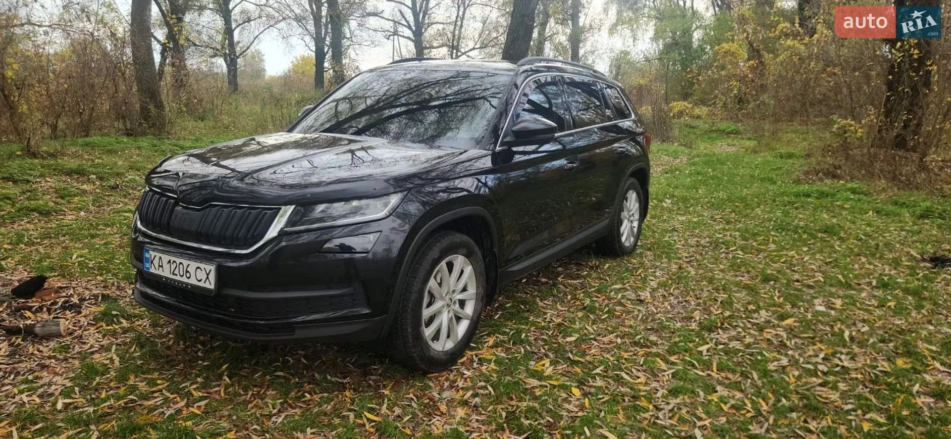 Skoda Kodiaq, 2021