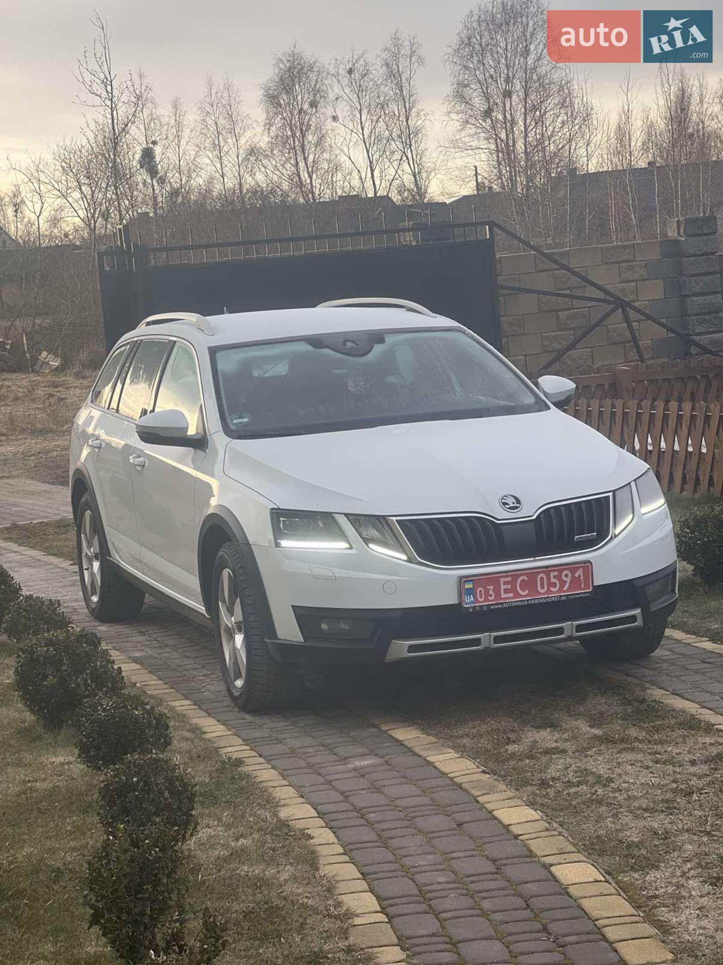 Skoda Octavia Scout, 2019