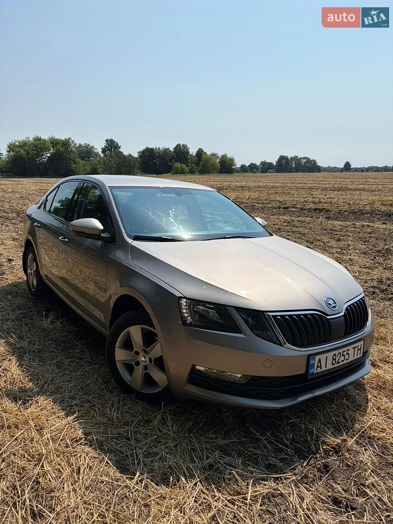 Skoda Octavia, 2017