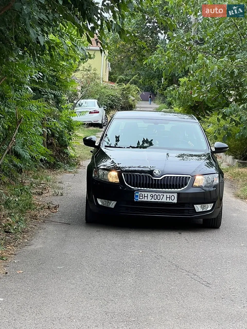 Skoda Octavia, 2017