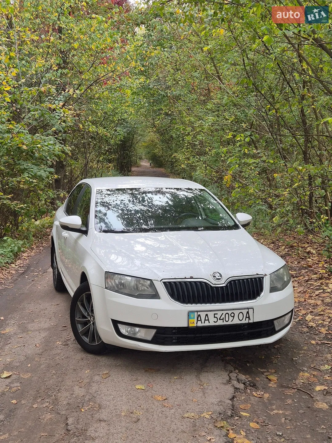 Skoda Octavia, 2013