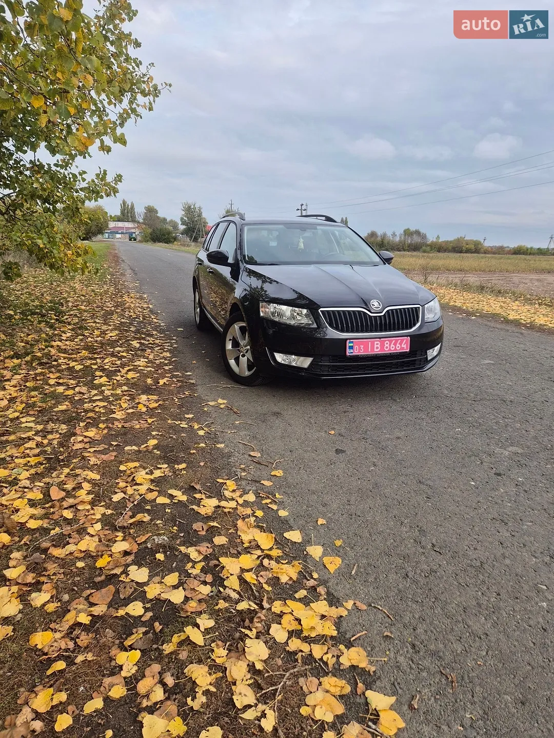 Skoda Octavia, 2014