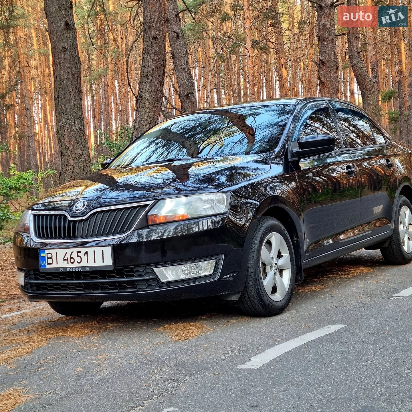 Skoda Rapid, 2013