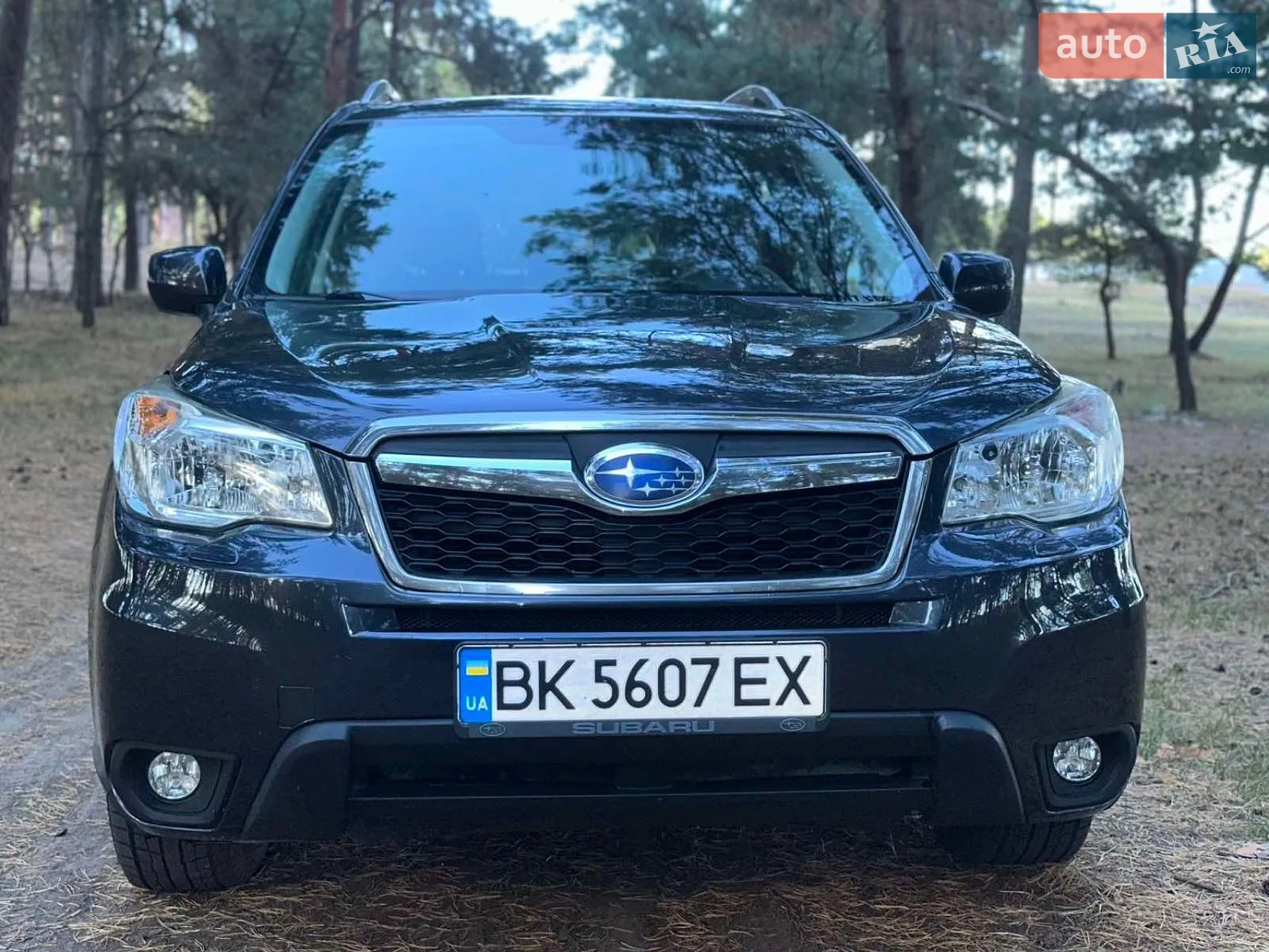 Subaru Forester, 2013