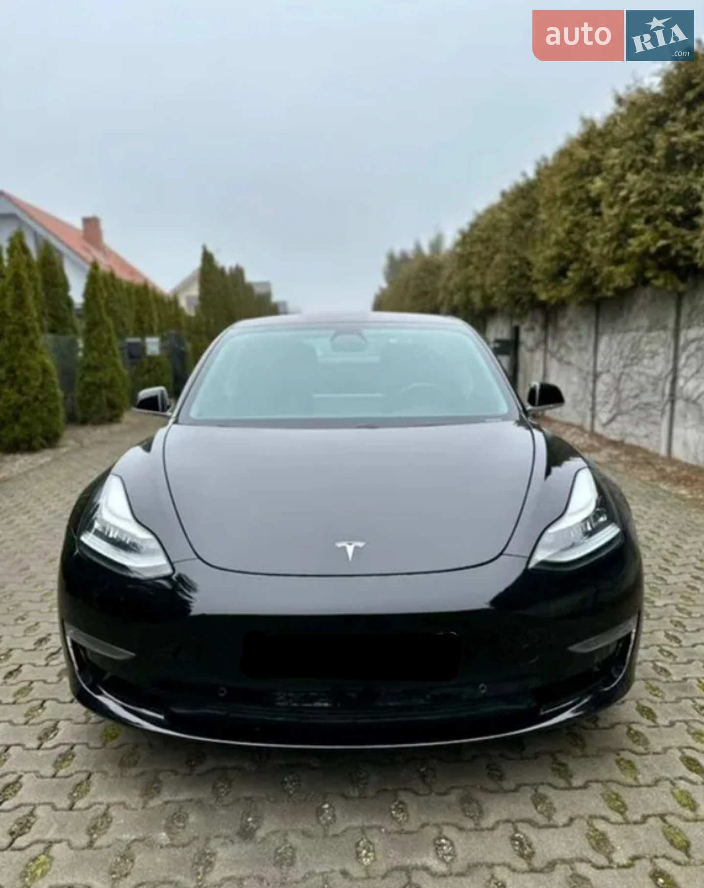 Tesla Model 3, 2019