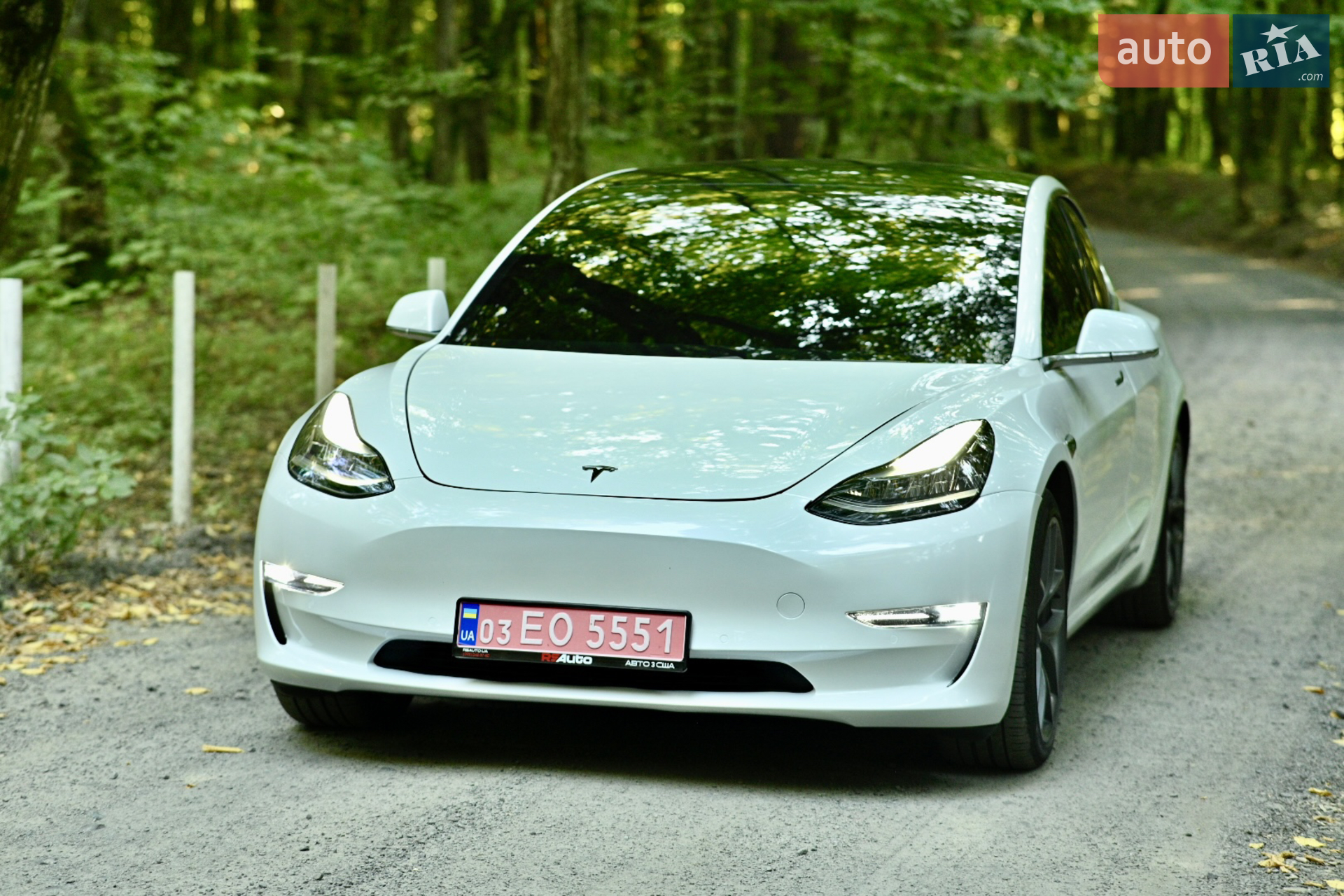 Tesla Model 3, 2019