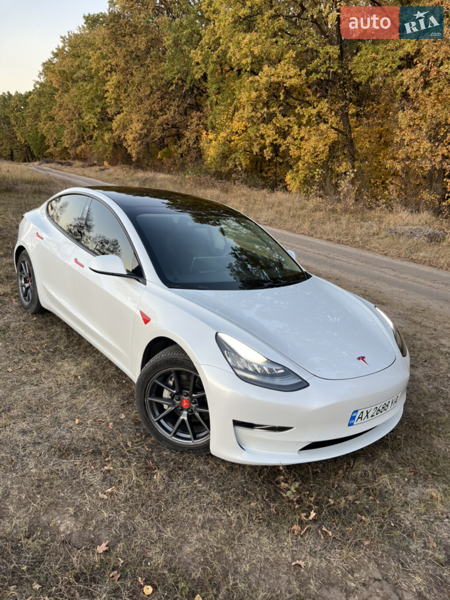 Tesla Model 3, 2020
