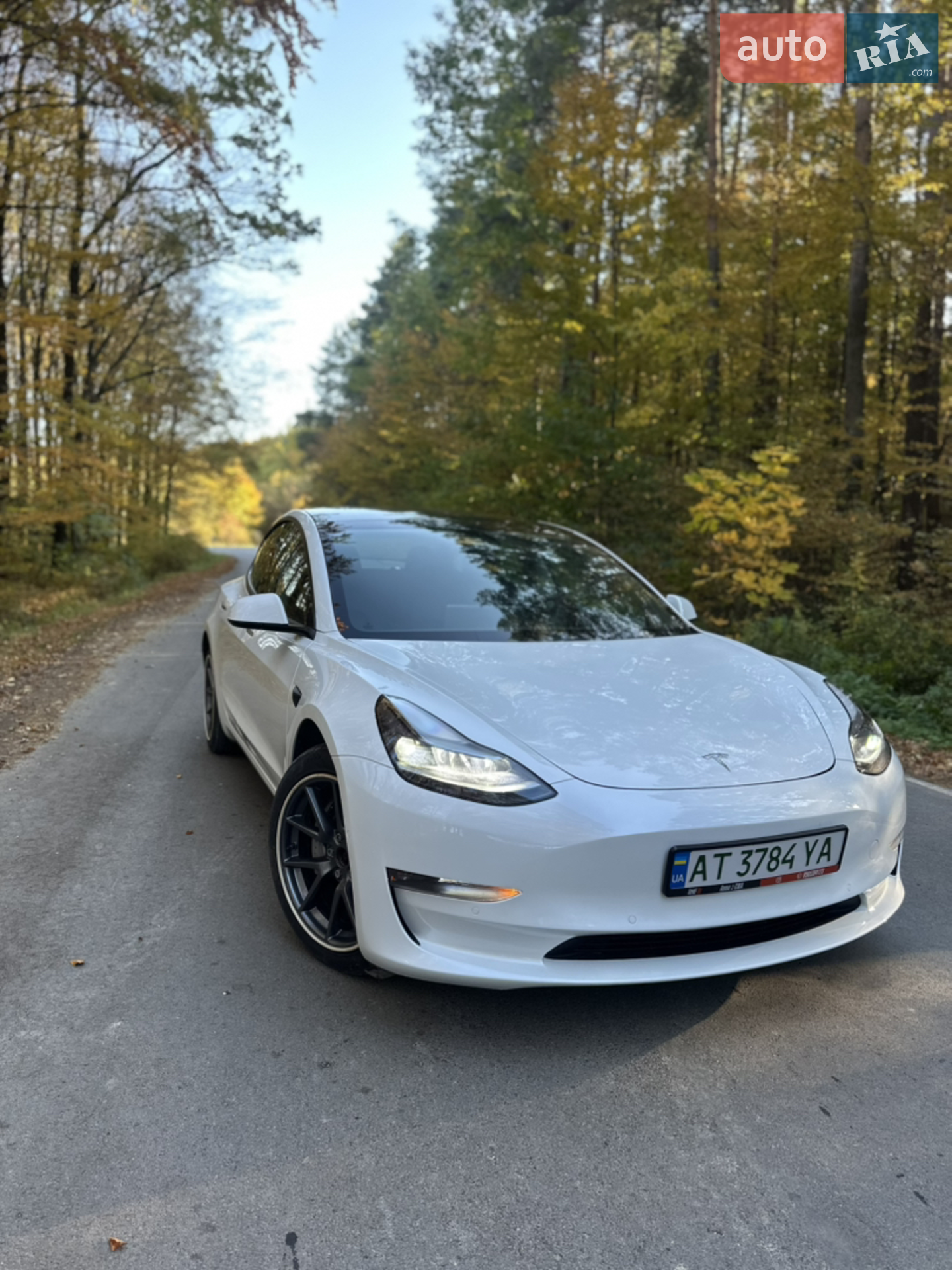 Tesla Model 3, 2021