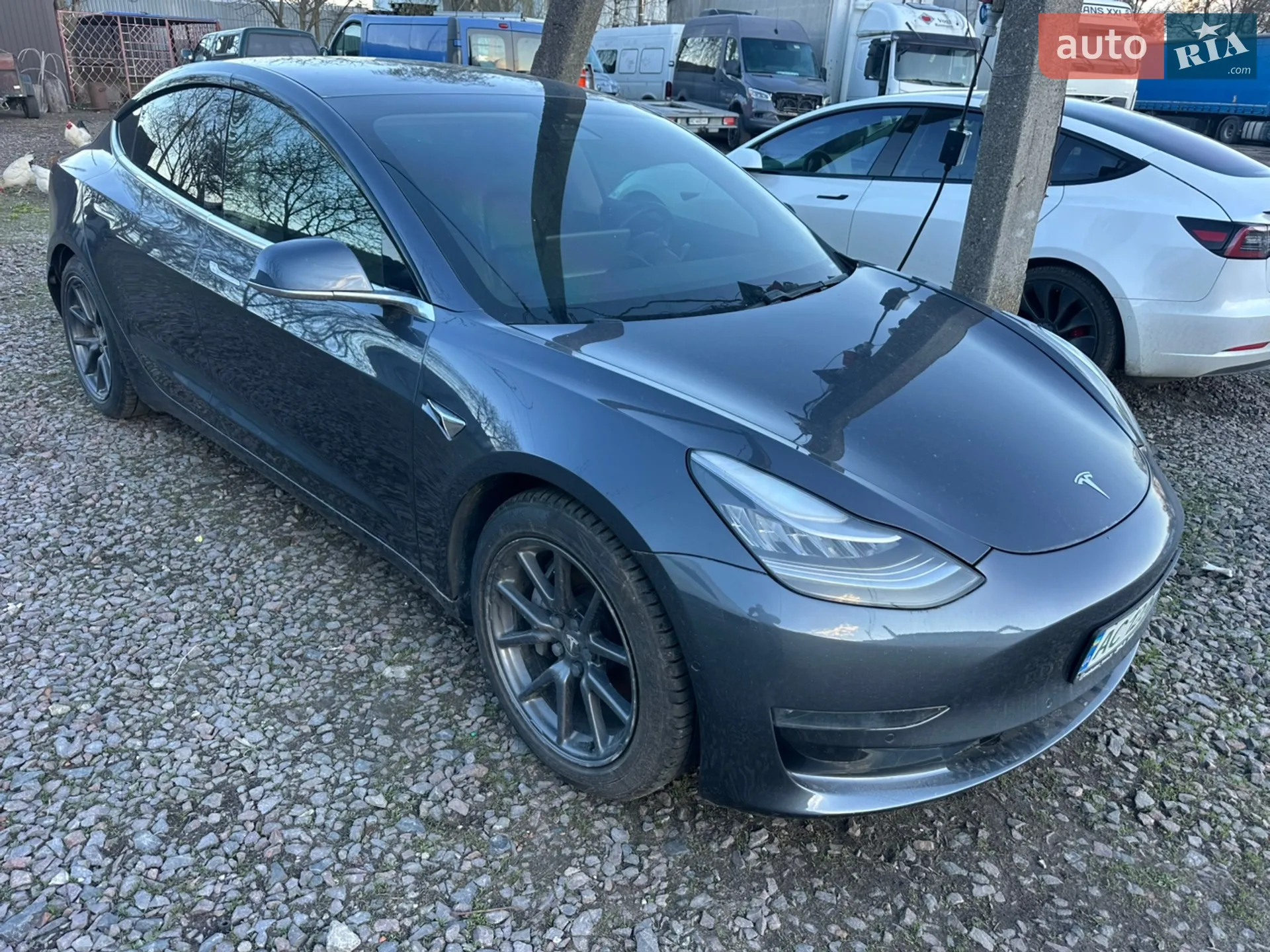 Tesla Model 3, 2020